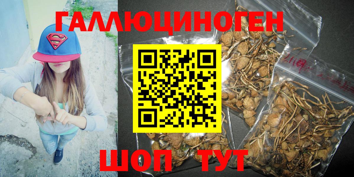 Галлюциногенные грибы Magic Shrooms  Вход с VPN  Псилоцибиновые грибы прущие грибы  Казань 